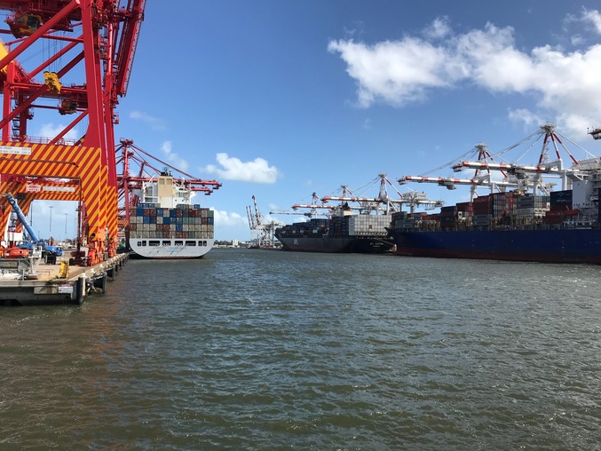 Overlooking the wharf