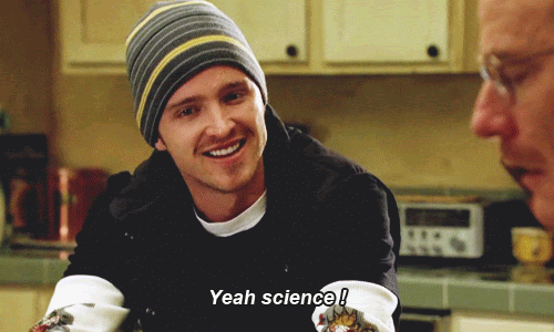 splash-or-stash-gif1.gif